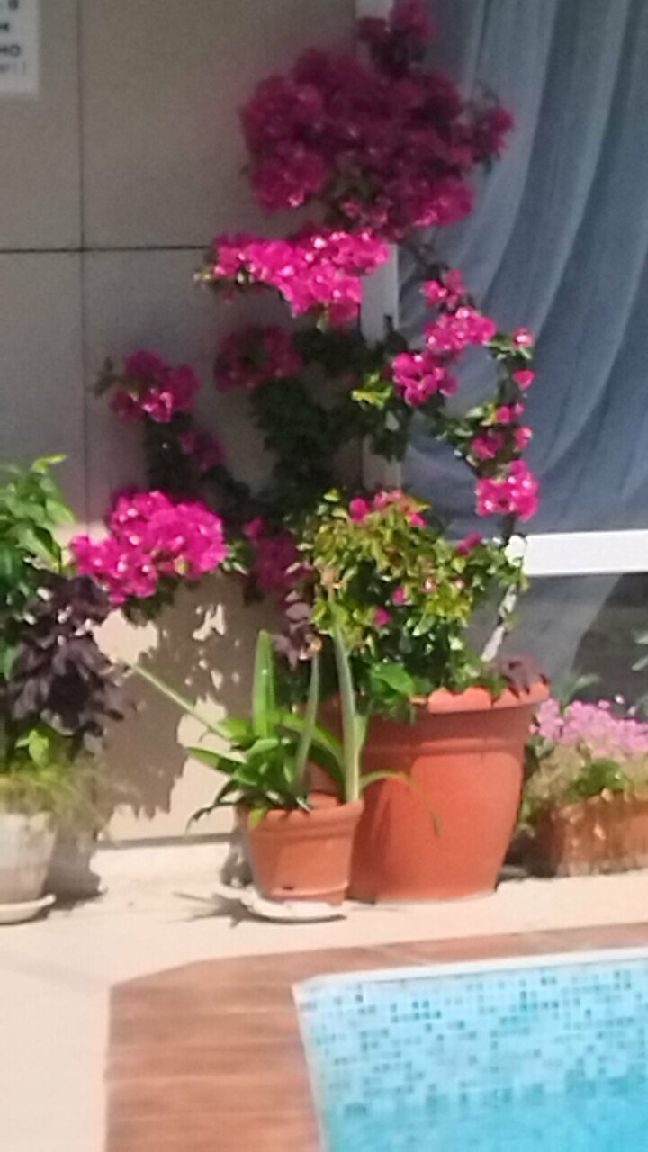 Гостиница Анастасия Туапсе-89