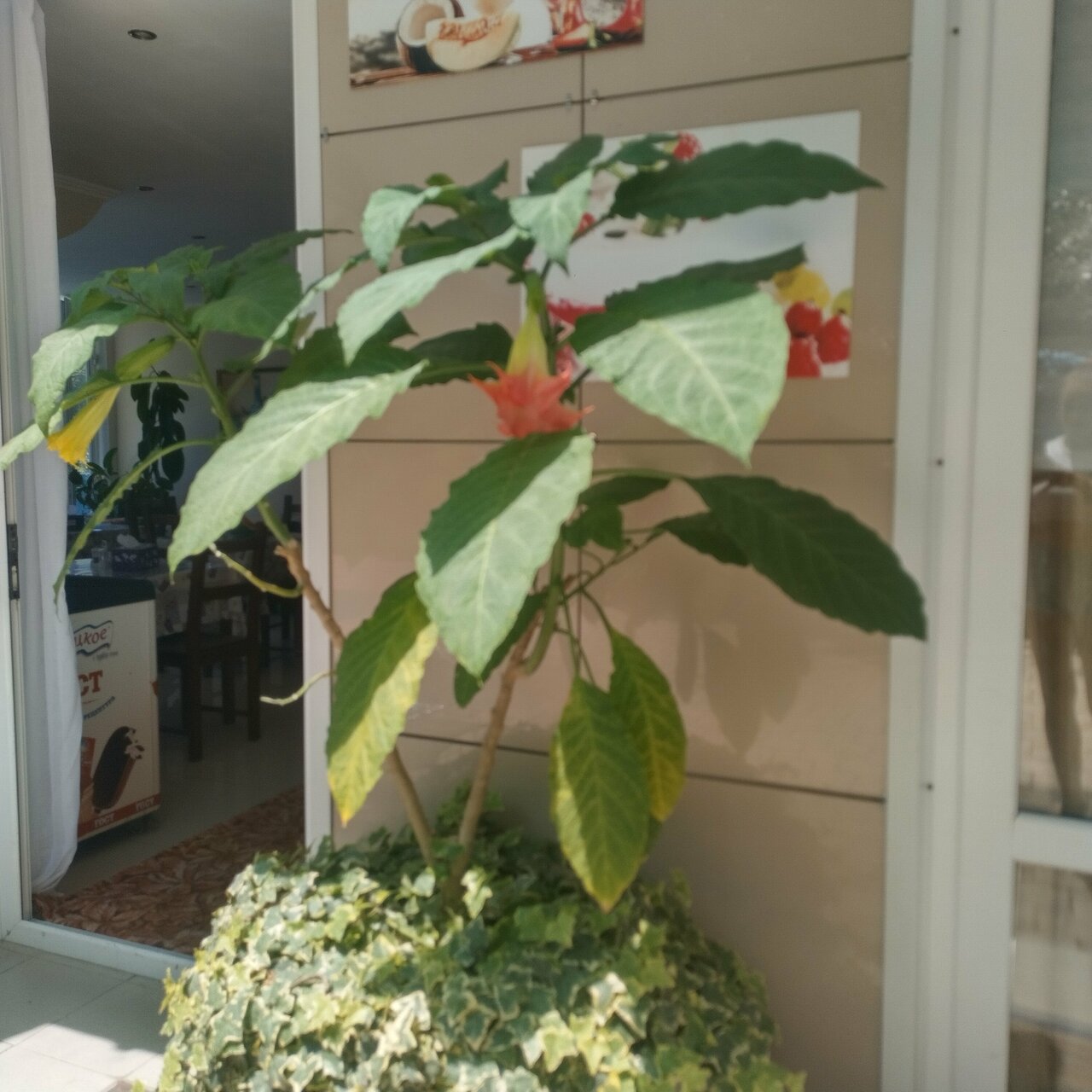 Гостиница Анастасия Туапсе-80