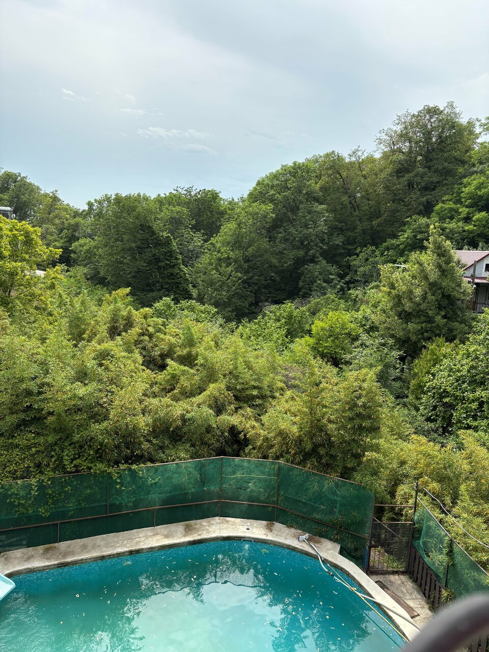 Гостиница Анастасия Туапсе-94