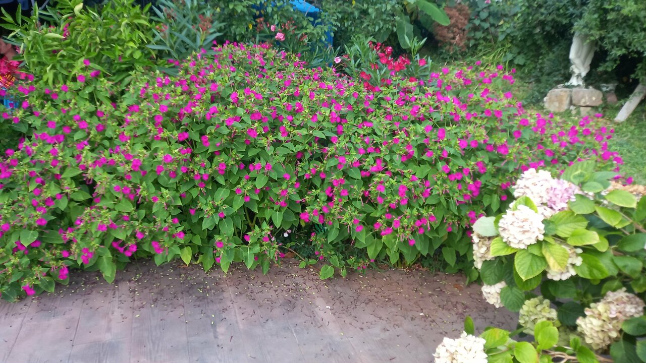 Гостиница Анастасия Туапсе-93