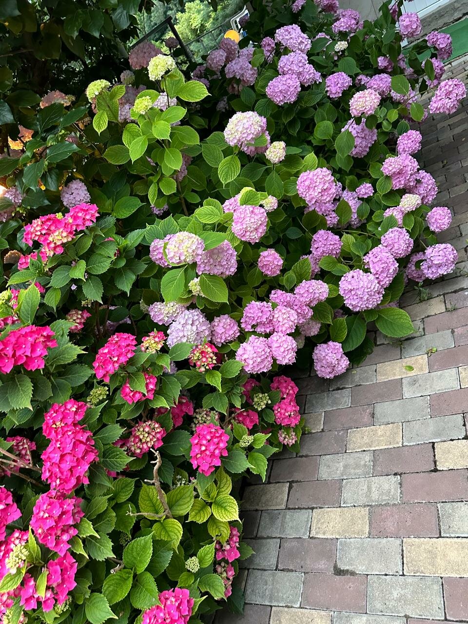 Гостиница Анастасия Туапсе-126