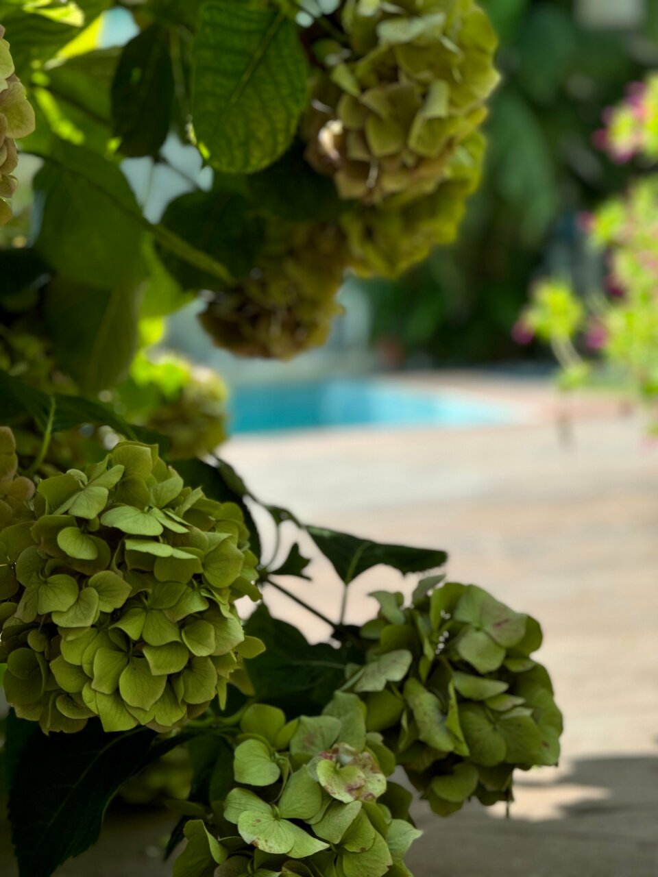 Гостиница Анастасия Туапсе-91