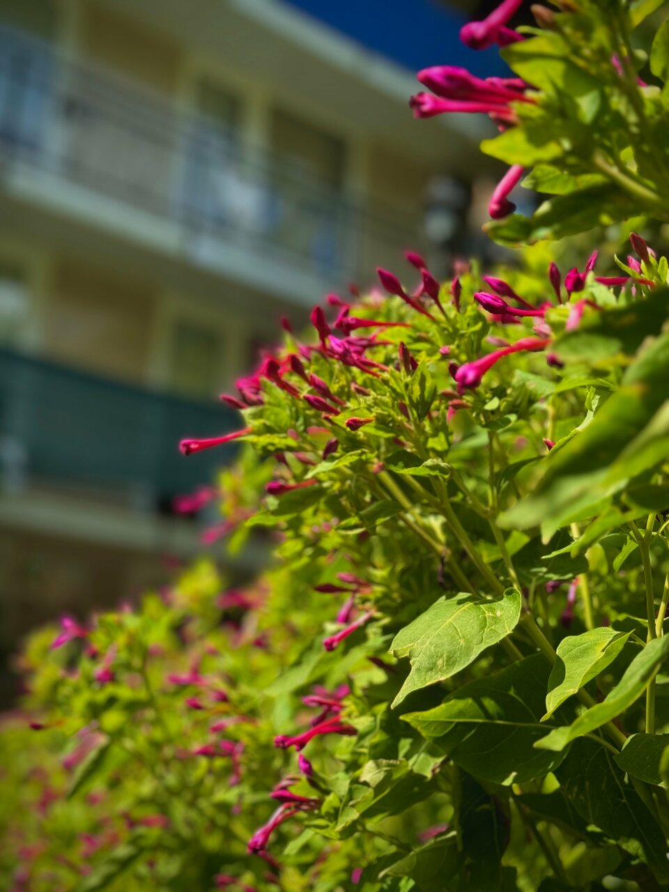 Гостиница Анастасия Туапсе-84