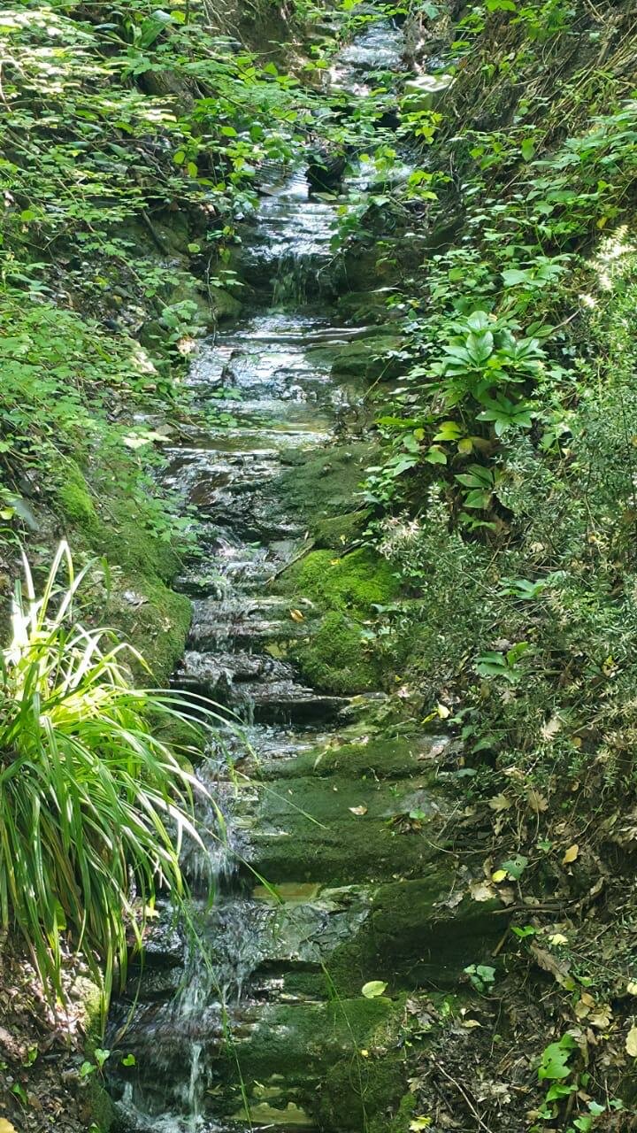 Гостиница Анастасия Туапсе-123