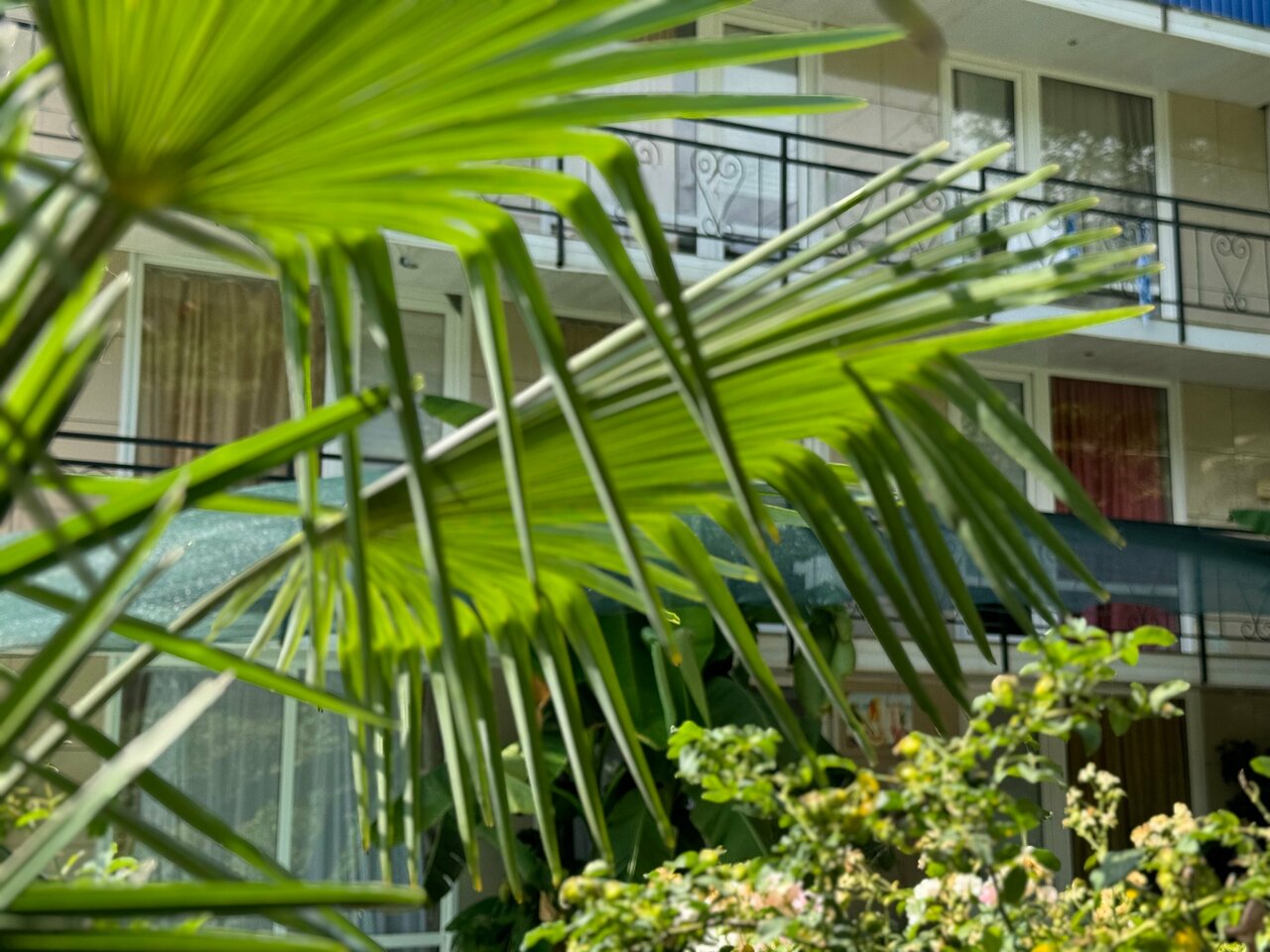 Гостиница Анастасия Туапсе-92