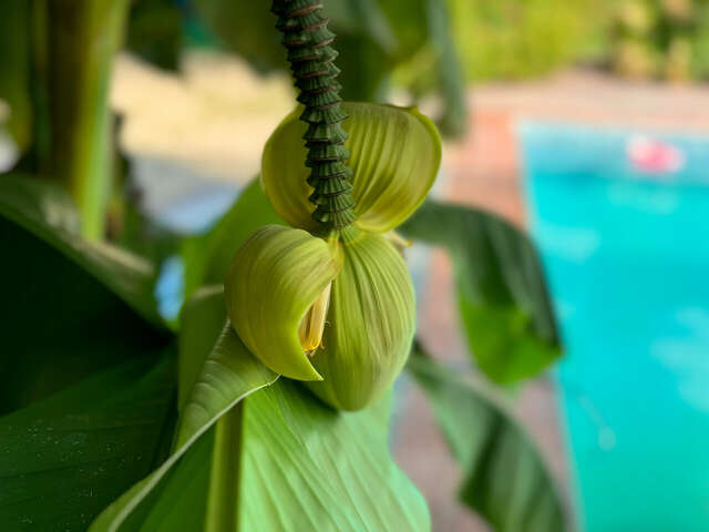 Гостиница Анастасия Туапсе-80