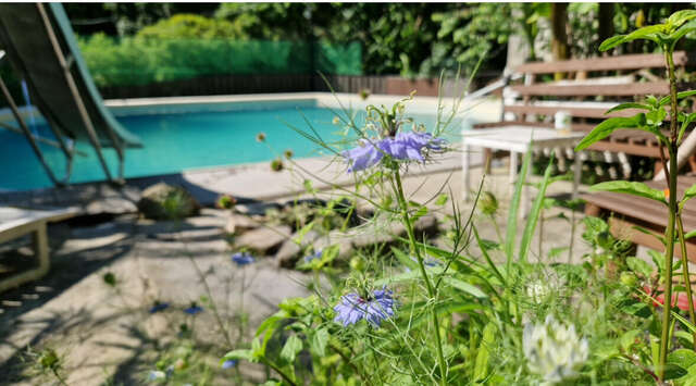 Гостиница Анастасия Туапсе-70