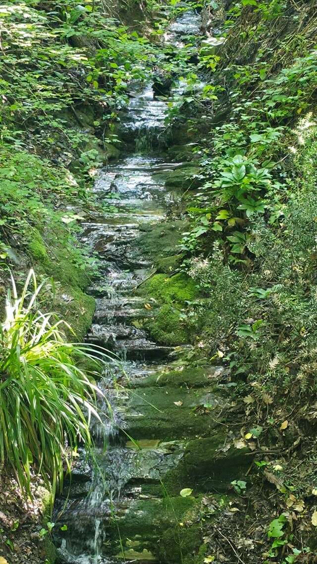 Гостиница Анастасия Туапсе-122