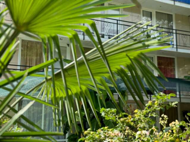 Гостиница Анастасия Туапсе-91